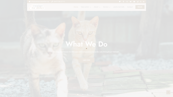 Screenshot of the Vietnam Cat Welfare website