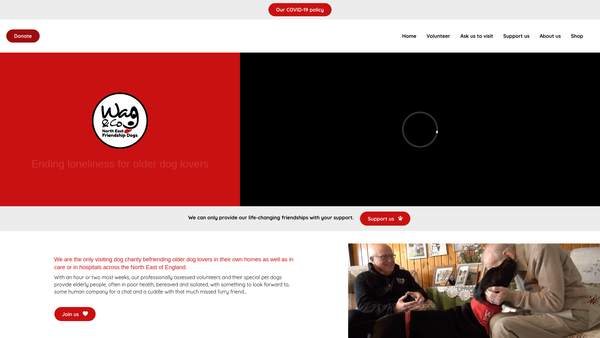 Screenshot of the Wag And Company North East Friendship Dogs website