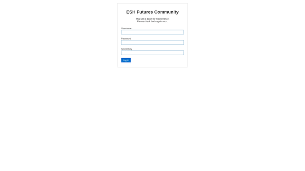 Screenshot of the Esh Futures CIO website