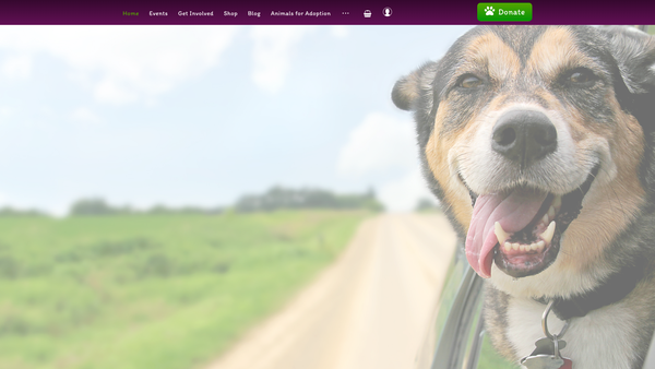 Screenshot of the Miracle's Mission website