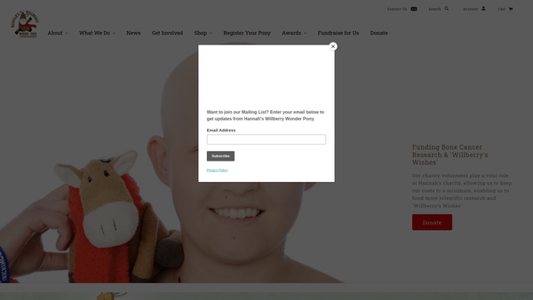 Screenshot of the Hannah's Willberry Wonder Pony Charity website