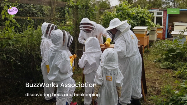 Screenshot of the Buzzworks Association (Hitchin) website