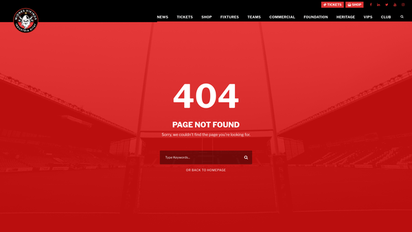 Screenshot of the Vikings Sports Foundation Ltd website