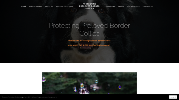 Screenshot of the Protecting Preloved Border Collies website