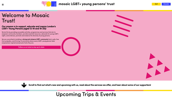 Screenshot of the Mosaic LGBT+ Young Persons' Trust website