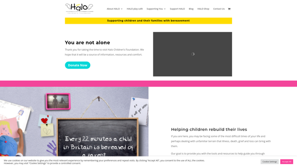 Screenshot of the Halo Children's Foundation website