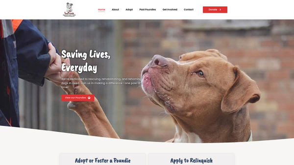 Screenshot of the Team Poundie website