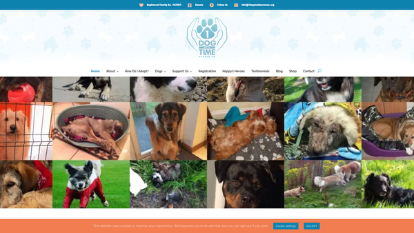 Screenshot of the 1 Dog At A Time Rescue UK website