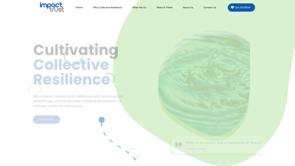 Screenshot of the Impact Trust website