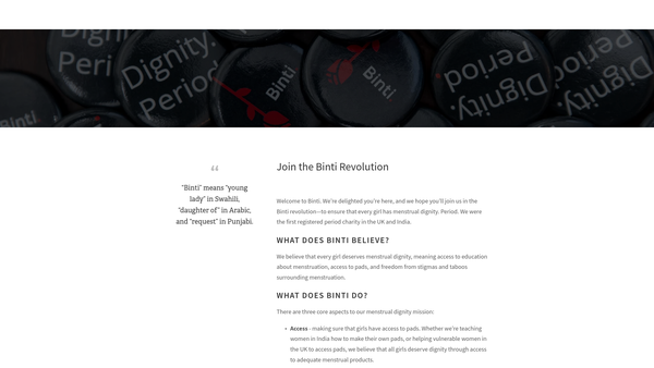 Screenshot of the Binti International website