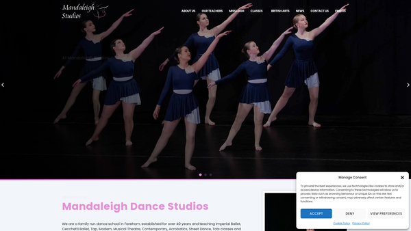 Screenshot of the The Mandaleigh Studios website