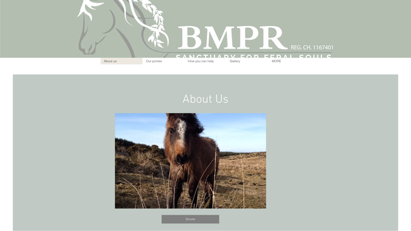 Screenshot of the Bodmin Moorland Pony Rehabilitation website
