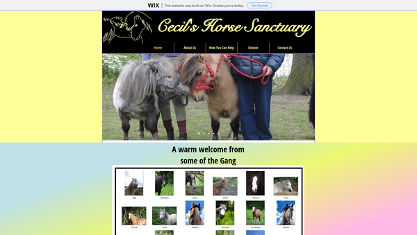 Screenshot of the Cecil's Horse Sanctuary website