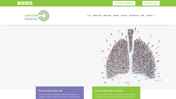 Screenshot of the Lam Action website