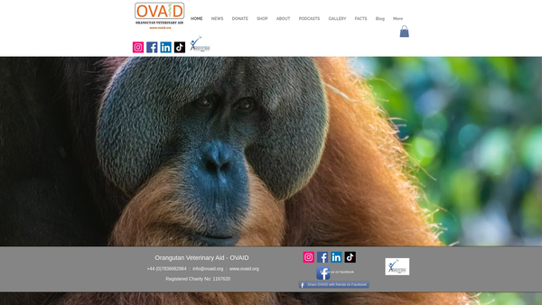 Screenshot of the Orangutan Veterinary Aid (Ovaid) website