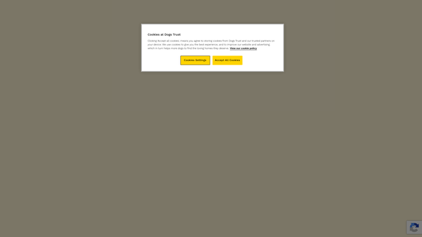Screenshot of the Dogs Trust website