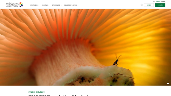 Screenshot of the Tnc UK Foundation Limited website
