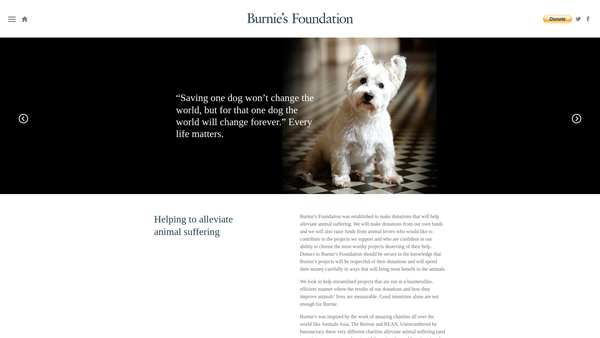 Screenshot of the Burnie's Foundation website
