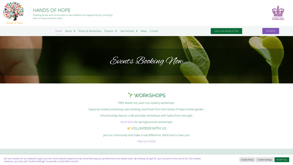 Screenshot of the Hands Of Hope website