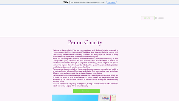 Screenshot of the Pennu Charity website