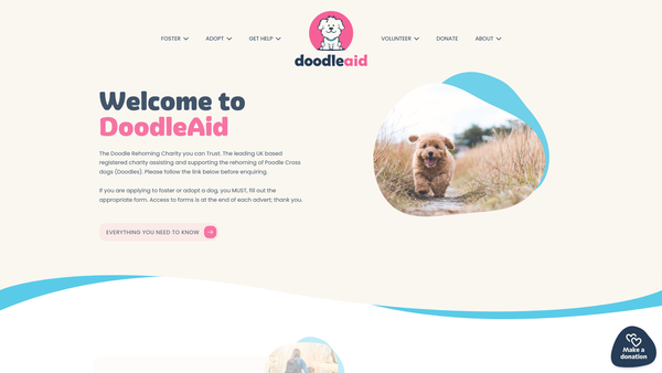 Screenshot of the Doodleaid website