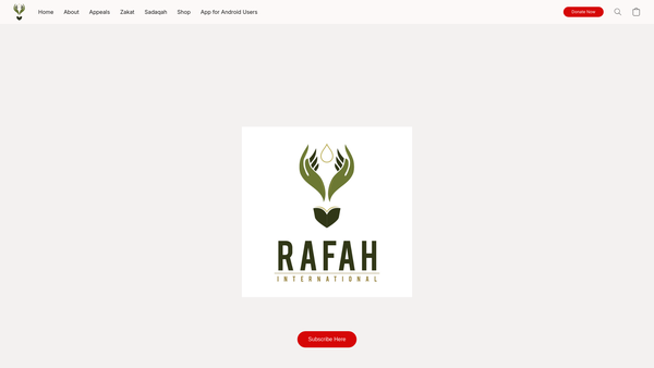 Screenshot of the Rafah International website