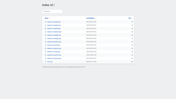 Screenshot of the Nudge Foundation website