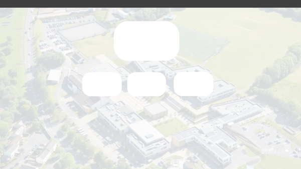 Screenshot of the Tor Bridge Primary PTA website