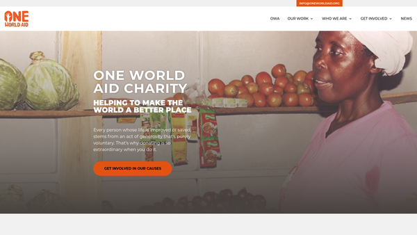 Screenshot of the One World Aid website