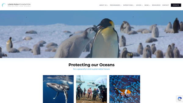 Screenshot of the The Lewis Pugh Foundation website