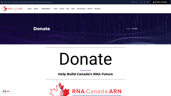 Screenshot of the The Robert Sinclair Davidson Foundation website
