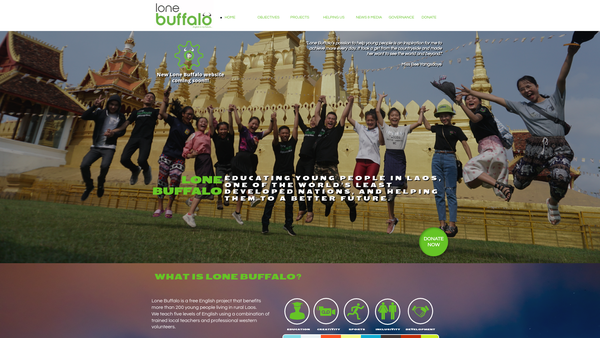 Screenshot of the Lone Buffalo website