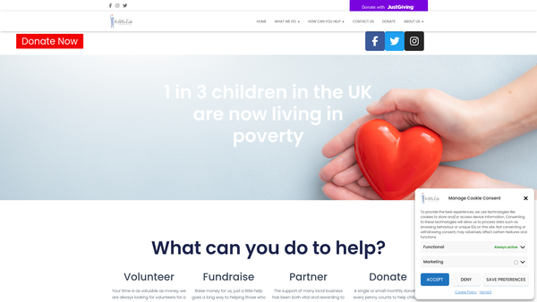 Screenshot of the Little Edi Foundation website
