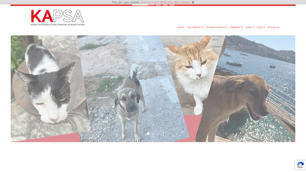 Screenshot of the Friends Of Kapsa (UK) website