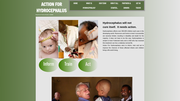 Screenshot of the Action For Hydrocephalus website