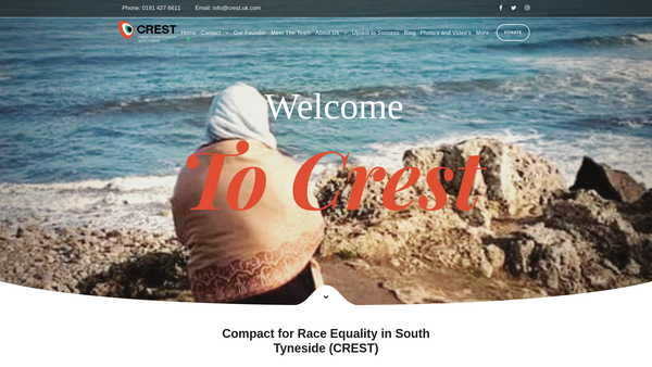 Screenshot of the Compact For Race Equality In South Tyneside website