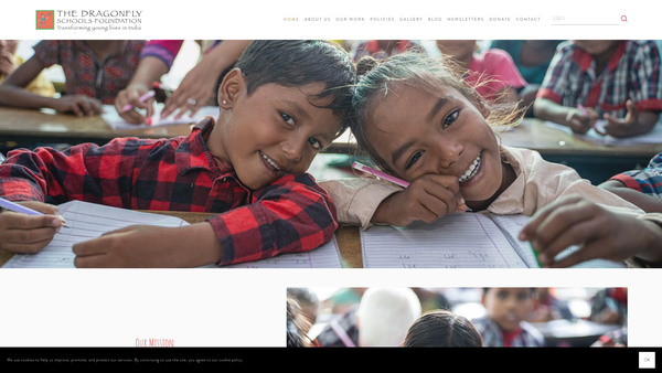 Screenshot of the The Dragonfly Schools Foundation website