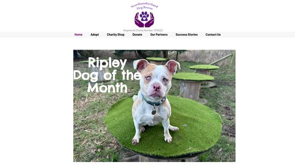 Screenshot of the Northumberland Dog Rescue website