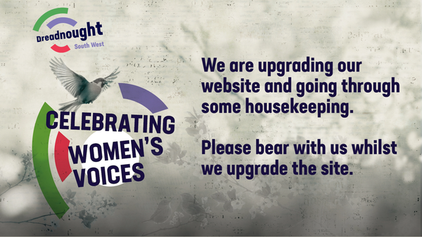 Screenshot of the Dreadnought South West website