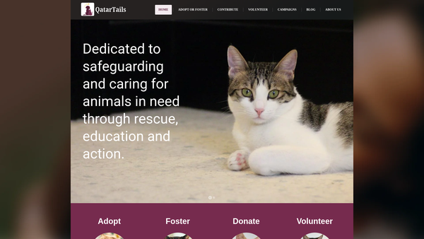 Screenshot of the The Evenstar Charitable Association website