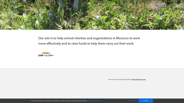Screenshot of the Animal Rescue Morocco website