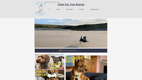 Screenshot of the Silver Fox Dog Rescue website