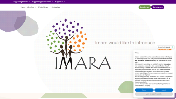 Screenshot of the Imara CIO website