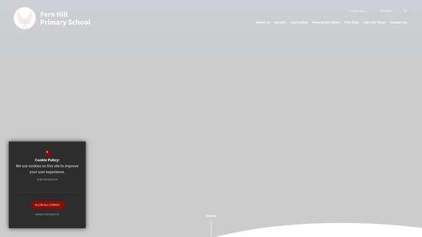 Screenshot of the Fern Hill Primary Voluntary Fund website