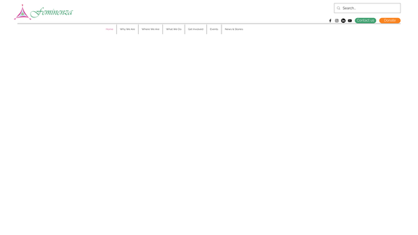 Screenshot of the Feminenza International website