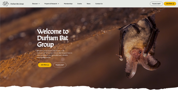 Screenshot of the Durham Bat Group website