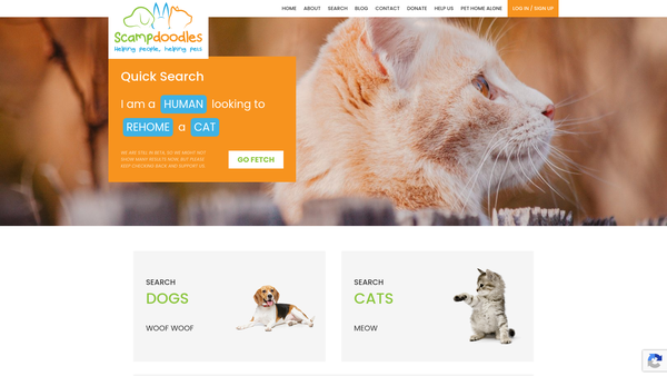 Screenshot of the Scampdoodles Charity website