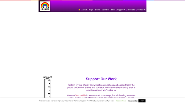 Screenshot of the Pride In Ely CIO website