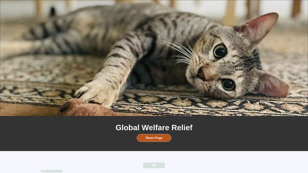 Screenshot of the Global Welfare Relief website