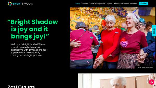 Screenshot of the Bright Shadow website